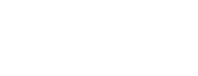 Snoy Consulting